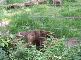 the_zoo_002.jpg