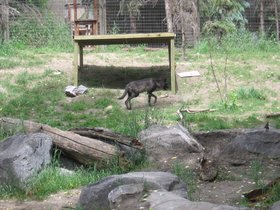 the_zoo_009.jpg