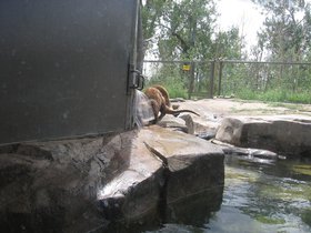 the_zoo_022.jpg