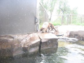 the_zoo_023.jpg