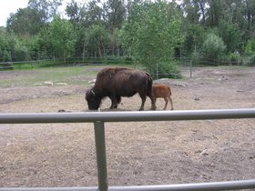 the_zoo_029.jpg