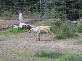 the_zoo_030.jpg