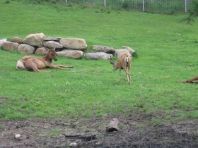 the_zoo_040.jpg