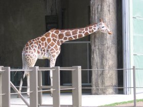 the_zoo_047.jpg