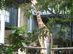 the_zoo_048.jpg
