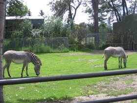 the_zoo_049.jpg