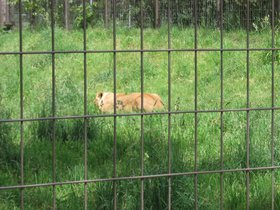 the_zoo_052.jpg