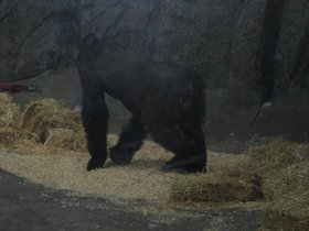 the_zoo_061.jpg