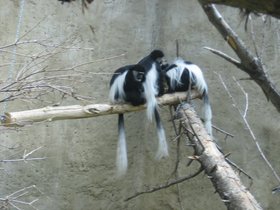 the_zoo_062.jpg