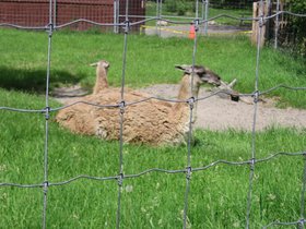 the_zoo_080.jpg