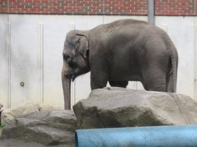 the_zoo_096.jpg