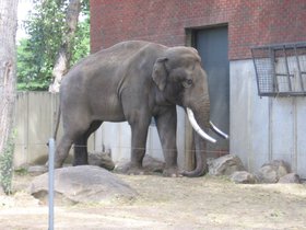 the_zoo_097.jpg