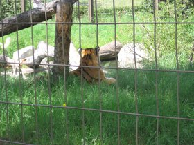 the_zoo_102.jpg