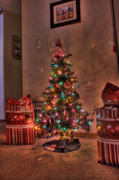 Tree_HDR_1