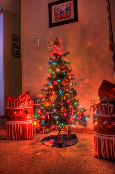 tree_HDR_2