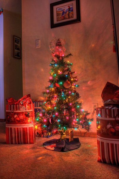 tree_hdr_3