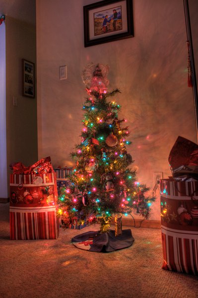 tree_hdr_4