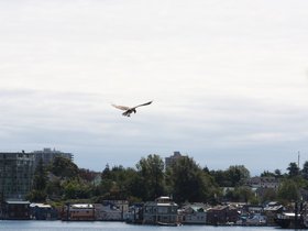 2010 Around Victoria